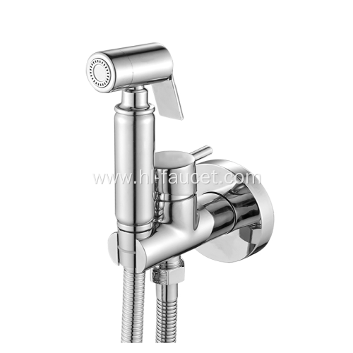 Chrome Wall Mounted Bidet Faucet Set with Sprayer
